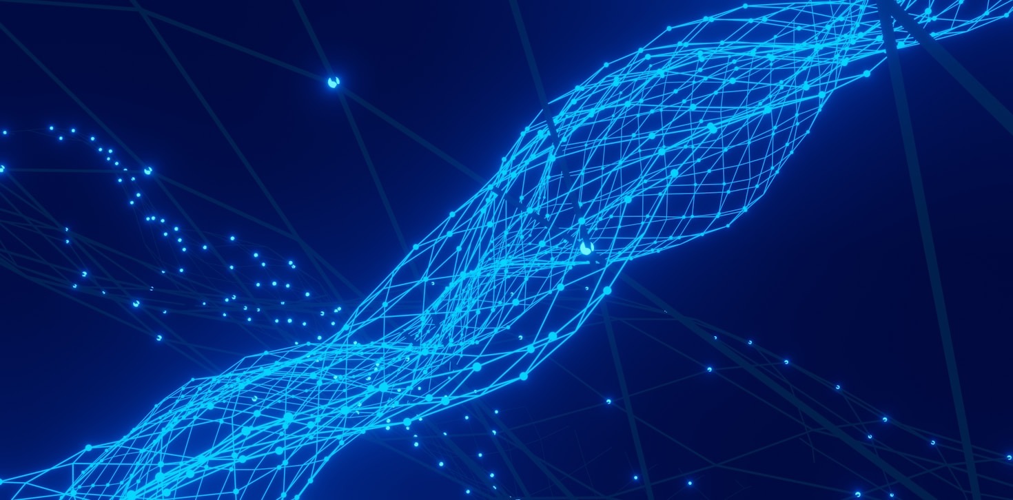 Streamlining Digital Assets: Insights and Innovations